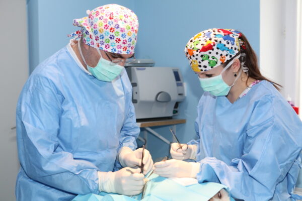 chirurgické zákroky veterinárne