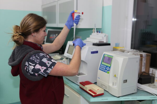 Laboratórne vyšetrenia, veterina
