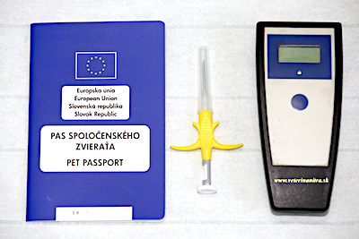 Čipovanie psov