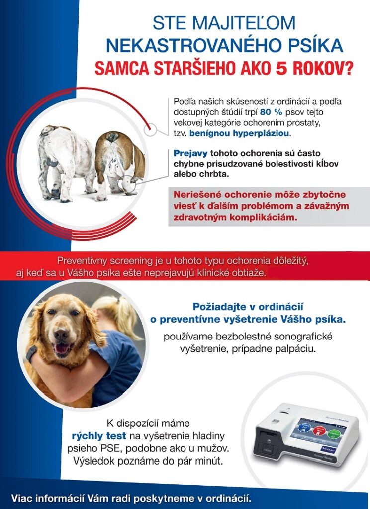 hladina PSE, pes