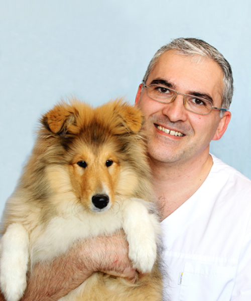 MVDr. Pavol Zubrický, PhD., CERT. EESVO