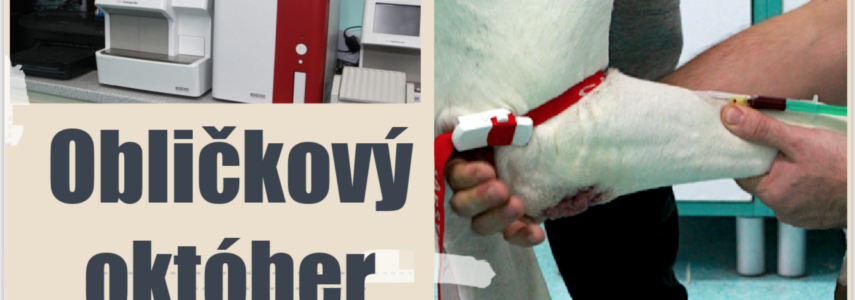 Obličkový október