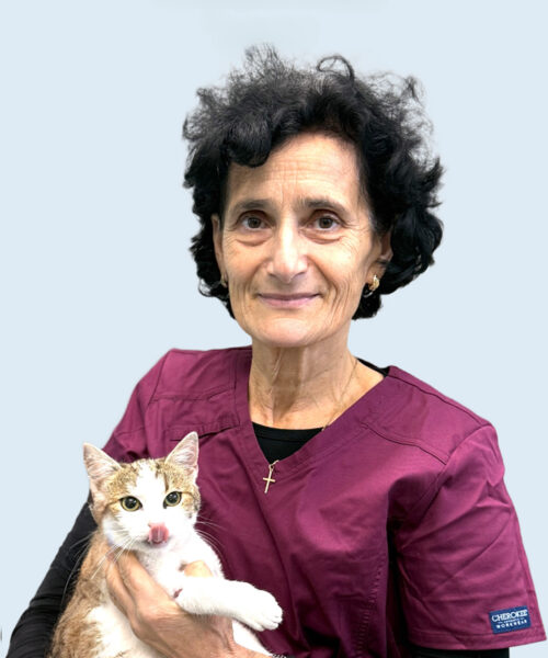 MVDr. Karin Kráľová