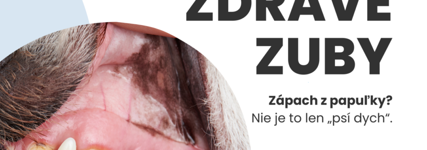 Ako čistiť psovi zuby