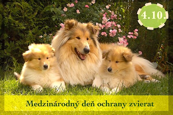 Medzinárodný deň ochrany zvierat