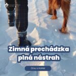 Zimná prechádzka so psom