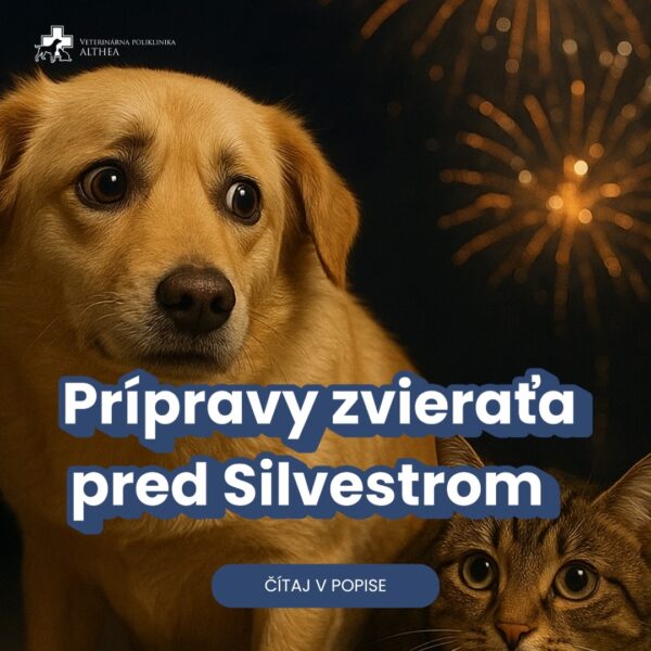 Silvester bez stresu